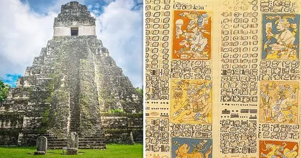 After Deciphering the 800-year-old Code and Translating an