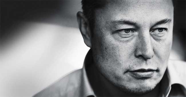 All About Elon Musk's Life, Career Path and Success