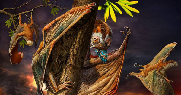 Always Hanging Upside Down on a Tree Like a Bat, This Is