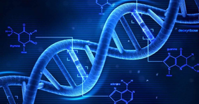 American Medicine Discovered: Increasing the Concentration of Protein Soluble Klotho in the Blood