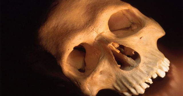 Ancient Human Skulls Are the World's Oldest Tsunami Victims Found
