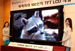 Anti-dust Laptop Screen