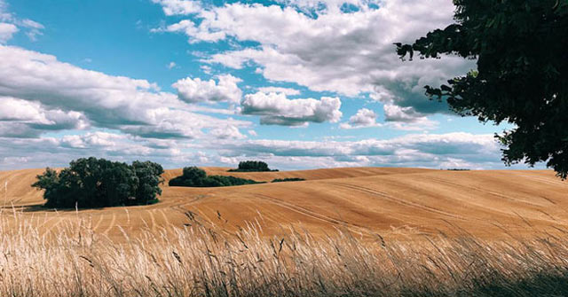 Apple Announced 10 Photos Winning the 'Shot on iPhone' Contest