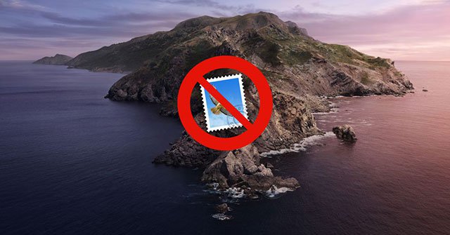 Apple Mail Error Can Cause Data Loss in macOS Catalina