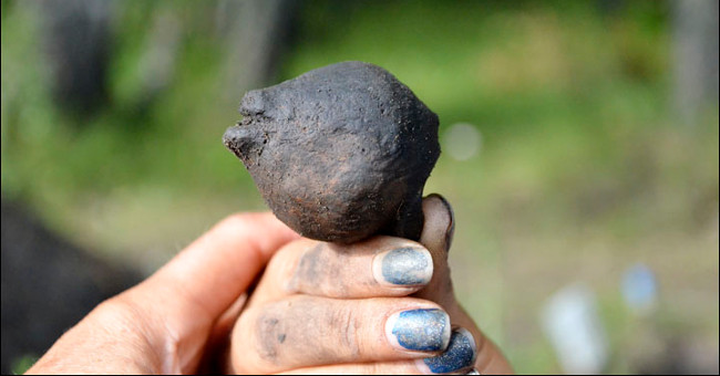 Archeology Finds 4000 Year Old Bear Head Clay Toys