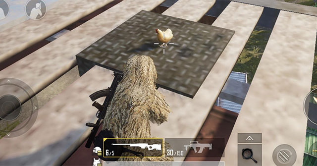 Areas Where Pets Appear in PUBG Mobile