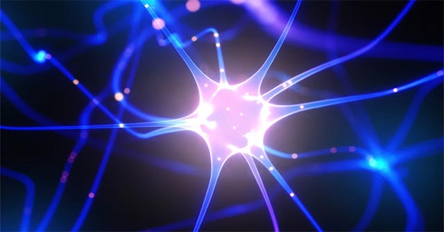 Artificial Neurons Have Been Able to Communicate with Biological