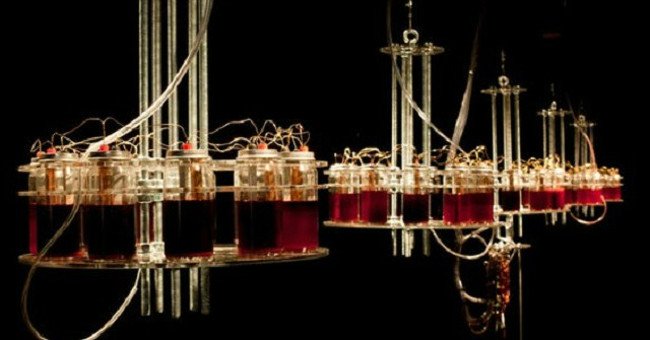 Artists Run an Electronic Sound System Using Their Own Blood