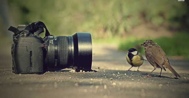 August 19: Celebrating 177 Years of World Photography Day