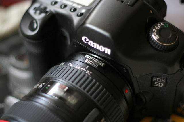 Basic Guide When Buying Digital Cameras