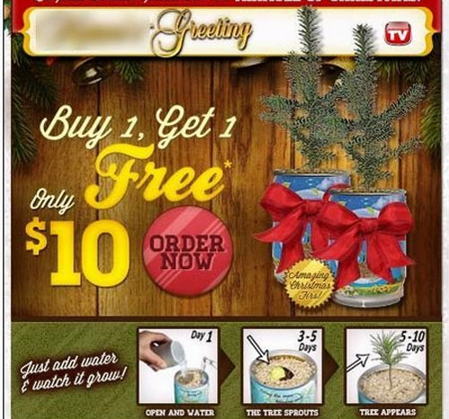 Be Careful of the 'Trap' Spams During the Christmas Season