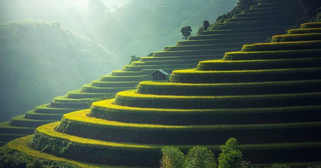 Beautiful Terraced Wallpaper for Computers