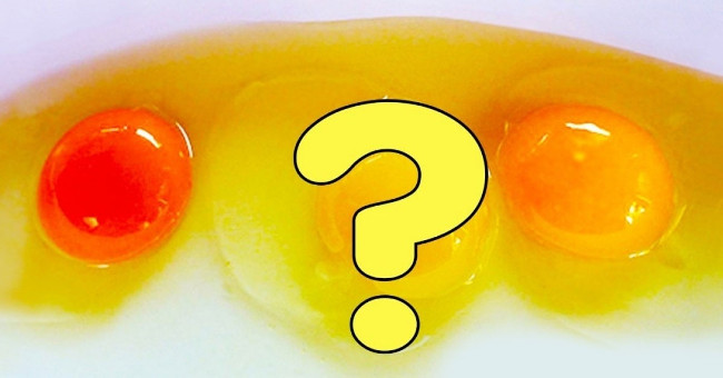 Before Eating Eggs, Pay Attention to the Color of the Egg Yolk