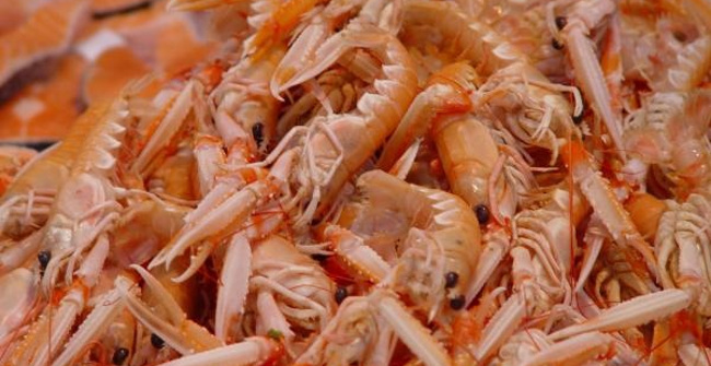 Bioplastic Biodegradable in Natural Environment Made from Shrimp Shells