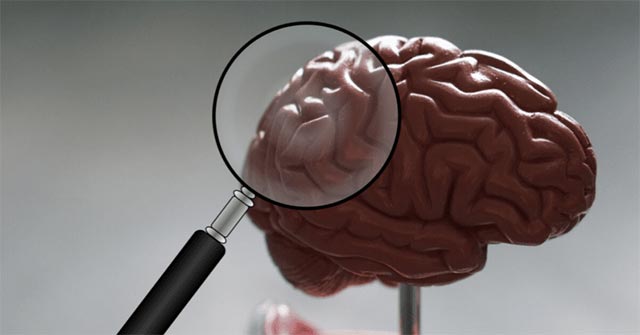 Brain Research Explains the Difference in the Impact of