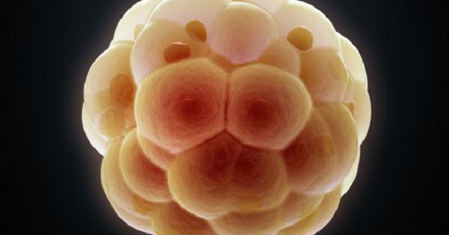 Cancer Survivors Are Only One-third Likely to Become Pregnant