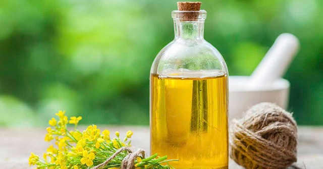 Canola Oil Can Harm the Brain