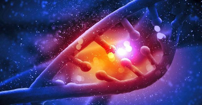 Changing the Biological Clock Makes People More Susceptible to Infection