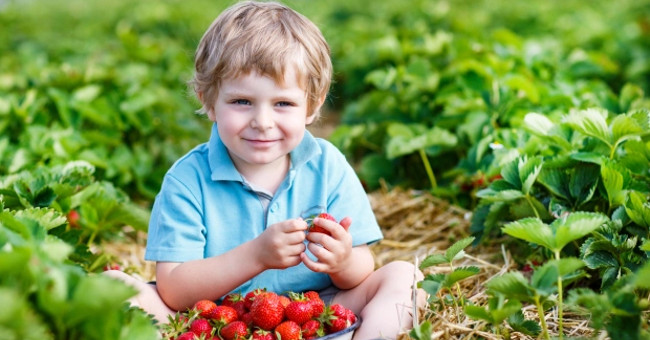 Children Who Live on the Farm in the First Years of Life Have Fewer