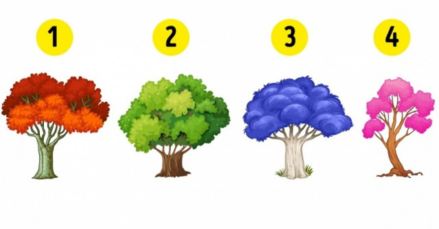 Choose a Tree You Like Best to Know What Needs to Change in the New