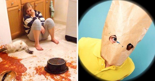 Choosing a Photo That Makes You Feel the Most Annoying Will Reveal