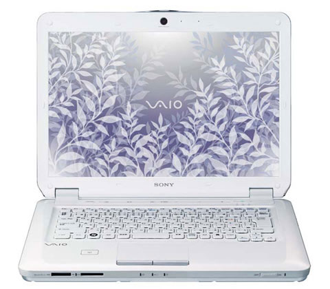 Collection of Desktops and Vaio Laptops 2009