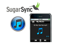 Sugarsync