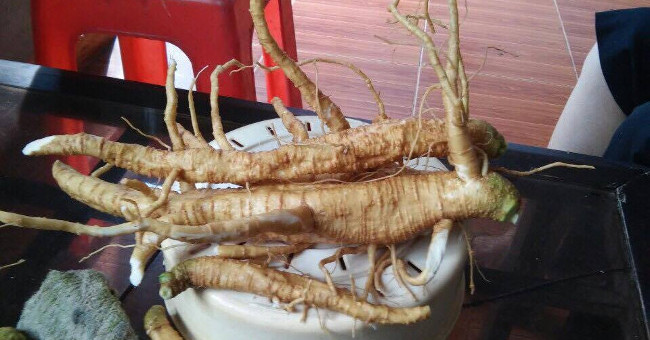 Commercial Miscounted with Ginseng, the Wrong Enema with Dangerous Tonic Medicine