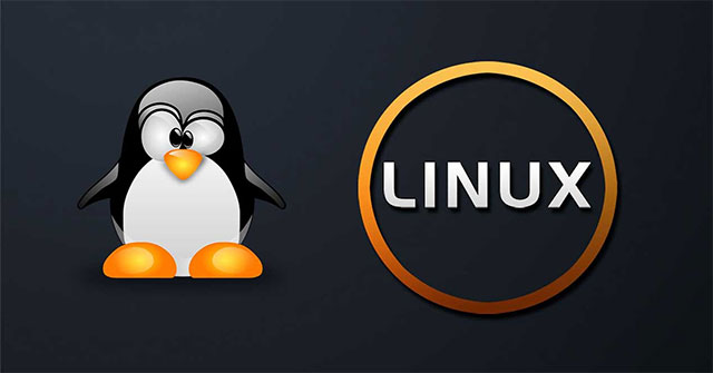 Compare the Most Popular Linux Distributions Today