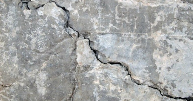 Concrete Uses Fungi to Fill Cracks
