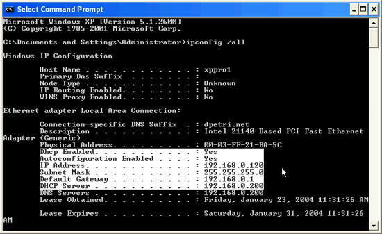 Configure Tcp // IP to Use Dhcp and Static IP Address at the Same