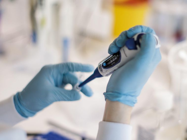 Coronavirus Treatments: Chloroquine, Vaccines and the Drugs
