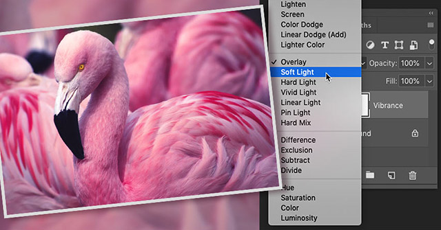Create Contrast in Photoshop: Level Concepts