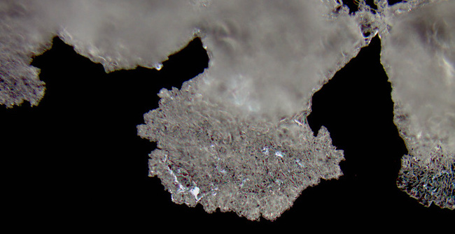 Crystals Can Also Be Bent and Elastic, Causing People's Perception