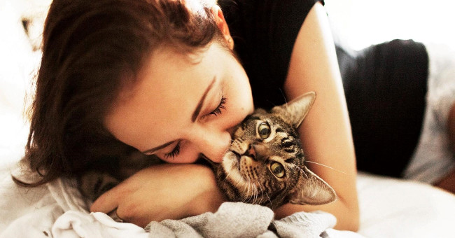 Cuddling with Cats Can Cause Brain Swelling, Heart Infection