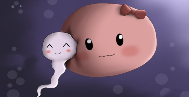 Curious: 'what' Difficulties Do Sperm Have to Undergo and How Long