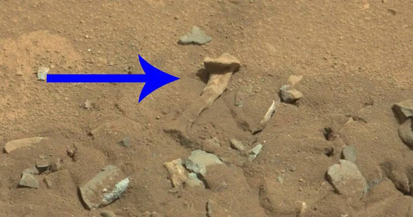 Decipher the Mystery Behind a Photo of a 'Human Bone' Object on NASA's