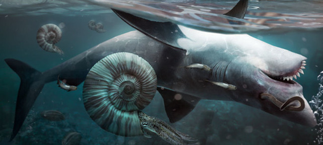 Decipher the Mystery of the Extinction That Destroyed 96% of Marine