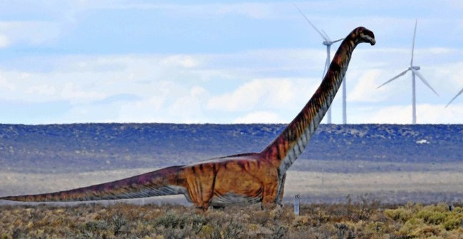 Defeating the Blue Whale, This 37m-long Dinosaur Is the World's Largest Creature