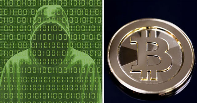 Detecting New Electronic Phishing Malware