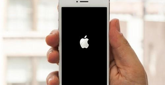 Detecting Vulnerabilities in iOS 12 and macOS Caused Device Crash