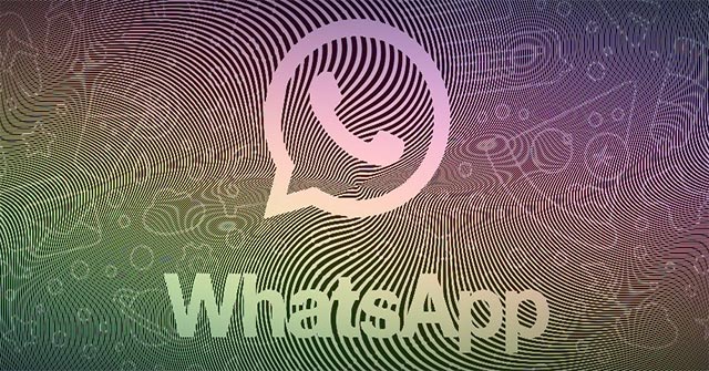 Detecting Whatsapp Flaws Allows an Attacker to Access Files on