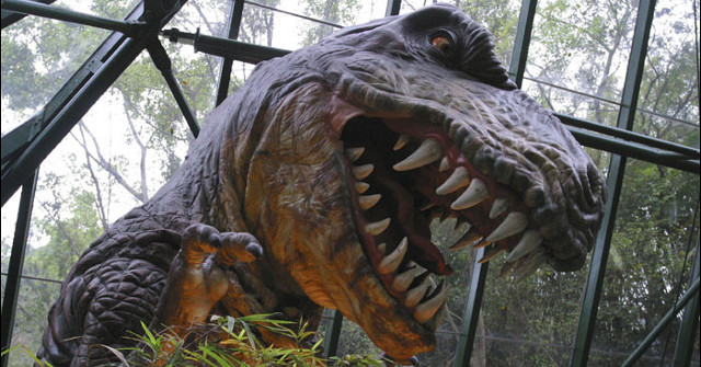 Dinosaurs Have Used Colors to Camouflage