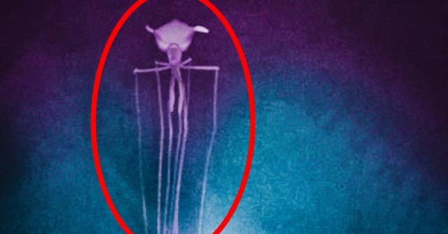 Discover 12 Mysterious Wonders Deep in the Ocean That Few People