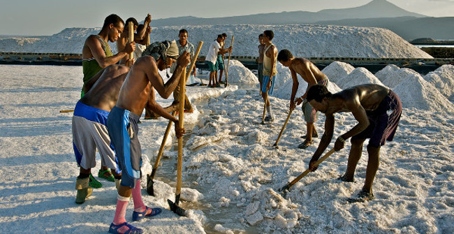 Discover Life in the Harshest Land on Earth, Where Temperatures