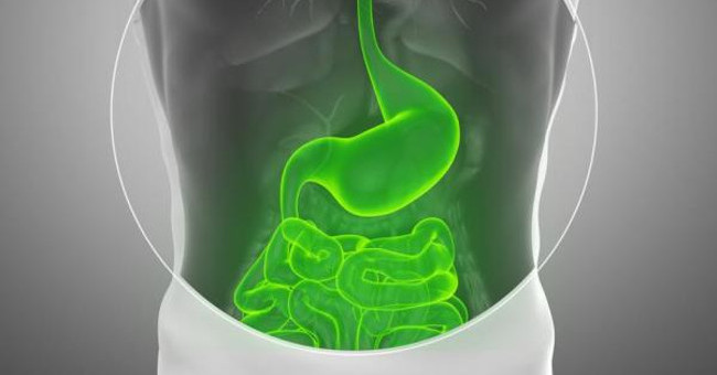 Discover New Fungi Joining Hands with Bacteria That Cause Crohn's