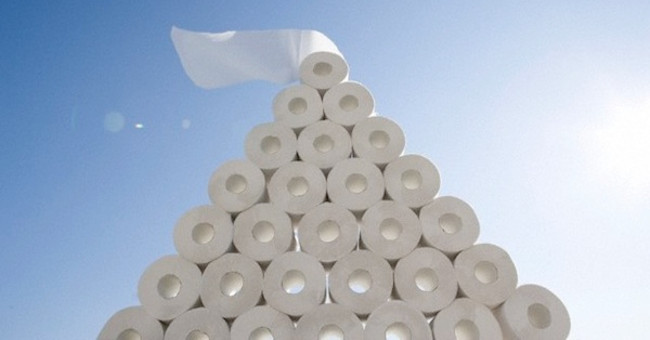 Discover the History and Exciting Production Process of Toilet Paper