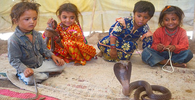 Discover the Life of Tribes Living by Cobra Hypnosis