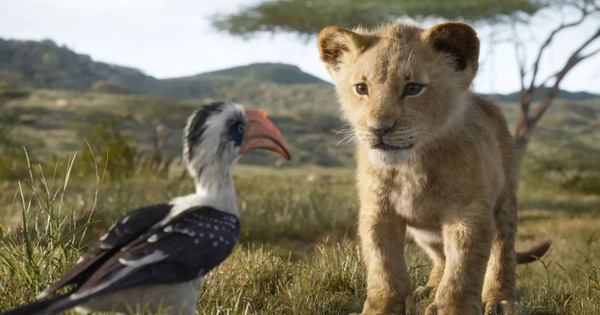 Disney Ceo Apologized After the Incident That a Primary School