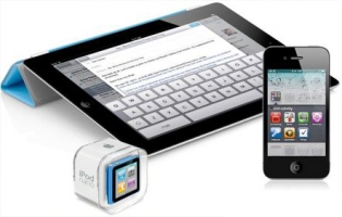 Distinguish Real and Fake Goods When Buying 'Apple Flaws'